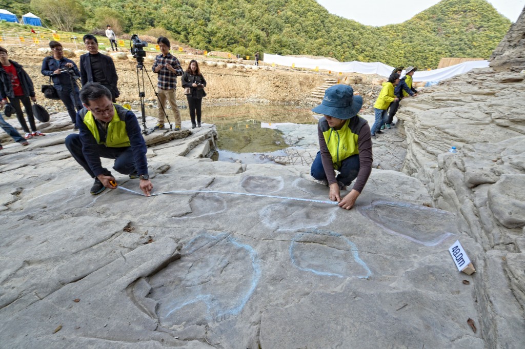 This photo shows 25 fossilized dinosaur footprints recently discovered by researchers on a rock near the site along a tributary of a river in Ulsan where the construction of a dike-like movable dam is under way to better preserve a set of prehistoric engravings from being eroded in floodwater. (Yonhap)  