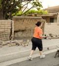 A woman walks her dog past a broken block wall in Fullerton, Calif., on Saturday, March 29, 2014,  after an earthquake hit Orange County Friday night. More than 100 aftershocks have rattled Orange County south of Los Angeles where a magnitude-5.1 earthquake struck Friday.  Despite the relatively minor damage, no injuries have been reported. (AP Photo/The Orange County Register, Ken Steinhardt)