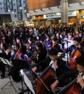 "Hope for a Sewol Miracle" takes place at Wilshire-Vermont Square on Saturday. / Park Sang-hyuk, The Korea Times