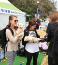 A photo from last year shows International tourists enjoying the 'Jindo Dog experience.' (Newsis)