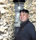 North Korean leader Kim Jong-un tours a mushroom factory affiliated with North Korea's military unit 534. (Photograph: Rodong Shinmun)