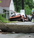 Conemaugh Township Police Chief Louis "Pete" Barclay surveys the scene of a double fatality caused by a large dead tree that fell directly onto a car carrying two adults (one pregnant) and four children on SR403 near Tire Hill, PA., Mon., June 23, 2014.  In Canada last Tuesday, a Korean couple from Baltimore also got killed when a storm caused a tree to fall on their car.  (AP )Photo/Tribune-Democrat, John Rucosky).