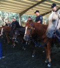 Officers of LAPD's Mounted Platoon during a training session at Ahmanson Equestrian Center.