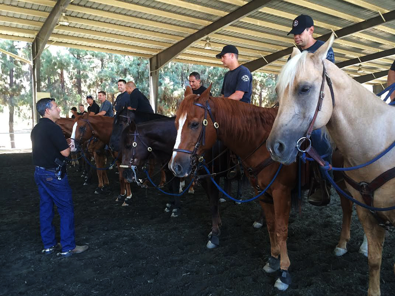 Officers of LAPD's Mounted Platoon during a training session at Ahmanson Equestrian Center.