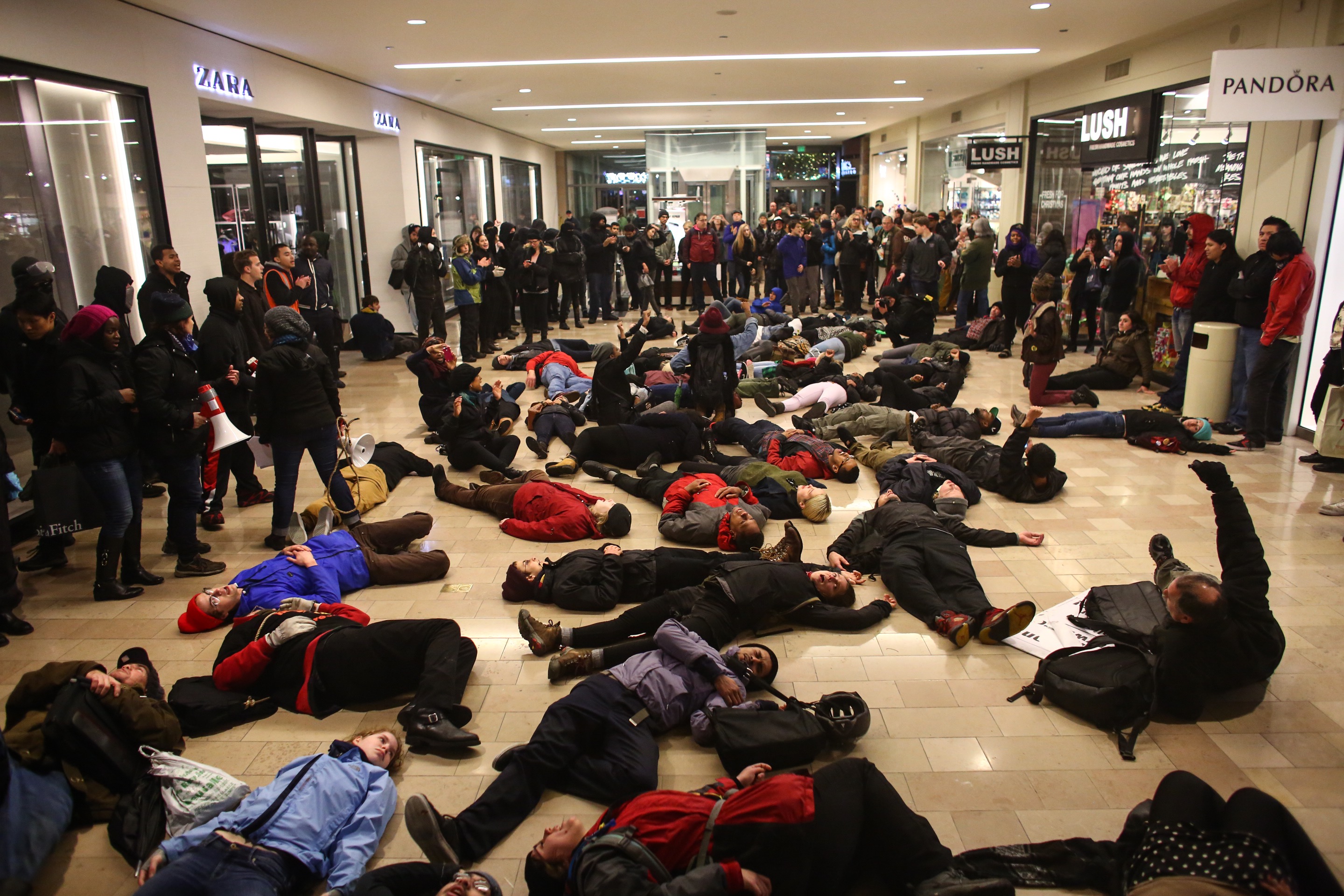 to protest the Ferguson grand jury decision. More than 200 protesters ...