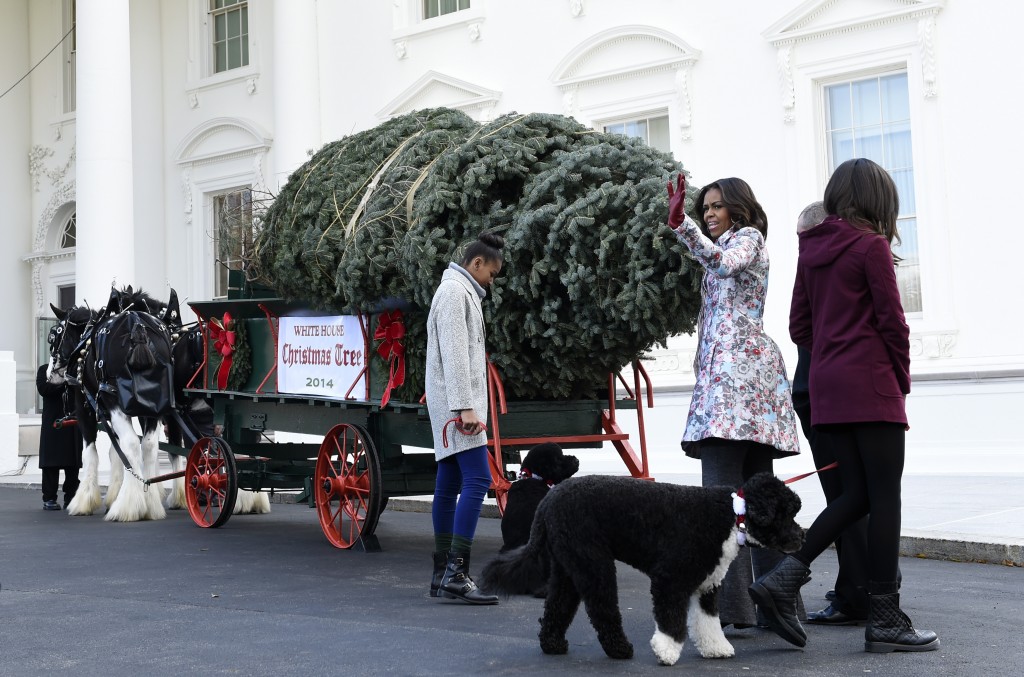 First lady Michelle Obama, second from right, joined by her daughters Sasha Obama, left, and Malia Obama, waves to the press after welcoming the Official White House Christmas Tree to the White House in Washington, Friday, Nov. 28, 2014. This years White House Christmas Tree, which will be on display in the Blue Room, is a White Fir grown by Chris Botek, a second generation Christmas tree farmer from Crystal Spring Tree Farm in Lehighton, Penn. Dogs Bo and Sunny also participated. (AP Photo/Susan Walsh)