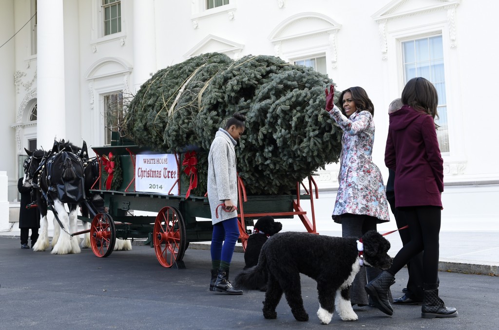 First lady Michelle Obama, second from right, joined by her daughters Sasha Obama, left, and Malia Obama, waves to the press after welcoming the Official White House Christmas Tree to the White House in Washington, Friday, Nov. 28, 2014. This years White House Christmas Tree, which will be on display in the Blue Room, is a White Fir grown by Chris Botek, a second generation Christmas tree farmer from Crystal Spring Tree Farm in Lehighton, Penn. Dogs Bo and Sunny also participated. (AP Photo/Susan Walsh)