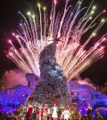 Los Angeles Mayor presents Universal Studios Hollywood with first ever "Grinchmas" Mayoral Proclamation, going the Grinch, Max the dog and the Whoos of Whoville to light the "Grinchmas" Tree Dec. 4, 2014. (Photo by David Sprague)