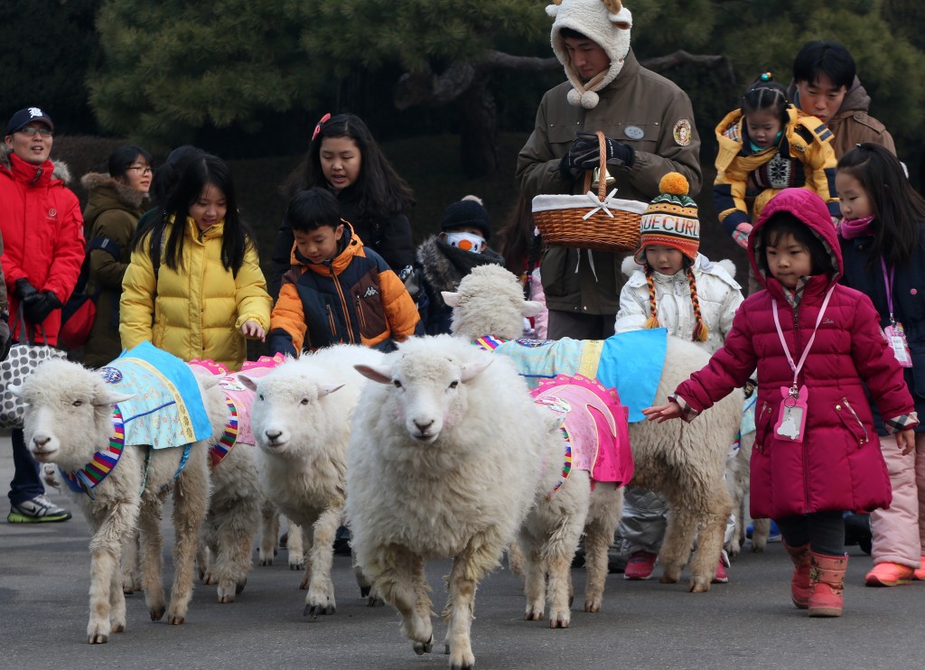A zookeeper wearing a sheep's hat feeds a small herd of sheep wearing hanbok, a Korean traditional costume, surrounded by children at Everland in Yongin, Gyeonggi Province, Monday, three days before the New Year. (Yonhap) 