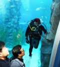 Inspectors from the Ministry of Public Safety and Security check cracks in an aquarium at the second Lotte World, southern Seoul, Wednesday. (Yonhap)