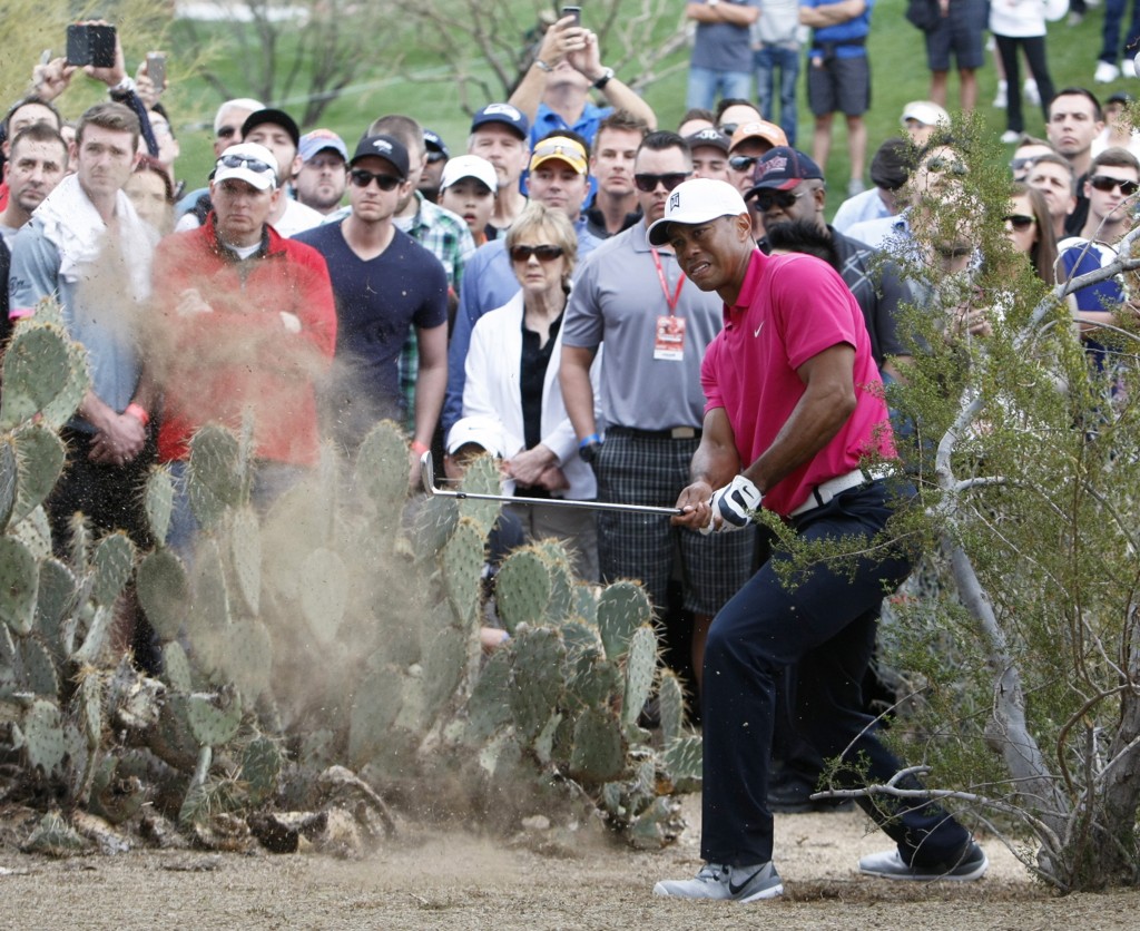 Tiger Woods hits out of the rough on the 11th hole in Scottsdale, Ariz. (AP Photo/Rick Scuteri)