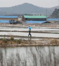 A man walks through a salt farm on Sinui Island, south of Seoul, South Korea. Life as a salt-farm slave was so bad Kim Jong-seok sometimes fantasized about killing the owner who beat him daily. Freedom, he says, has been worse. In the year since police emancipated the severely mentally disabled man from the farm where he had worked for eight years, Kim has lived in a grim homeless shelter, preyed upon and robbed by other residents. He has no friends, no job training prospects or counseling, and feels confined and deeply bored. (AP Photo/Lee Jin-man)
