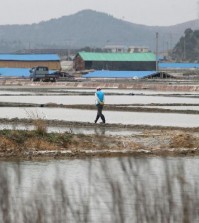 A man walks through a salt farm on Sinui Island, south of Seoul, South Korea. Life as a salt-farm slave was so bad Kim Jong-seok sometimes fantasized about killing the owner who beat him daily. Freedom, he says, has been worse. In the year since police emancipated the severely mentally disabled man from the farm where he had worked for eight years, Kim has lived in a grim homeless shelter, preyed upon and robbed by other residents. He has no friends, no job training prospects or counseling, and feels confined and deeply bored. (AP Photo/Lee Jin-man)