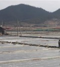 In this Feb. 19, 2014, a salt farm owner walks around his salt farm on Sinui Island, South Korea. Slavery thrives on this chain of rural islands off South Korea’s rugged southwest coast, nurtured by a long history of exploitation and the demands of trying to squeeze a living from the sea. Five times during the last decade, revelations of slavery involving the disabled have emerged, each time generating national shame and outrage.(AP Photo/Ahn Young-joon)