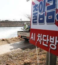 A member of a quarantine team sprays disinfectant into Jungnang Stream in Seoul, where an outbreak of the bird flu virus was confirmed, Sunday. (Yonhap)