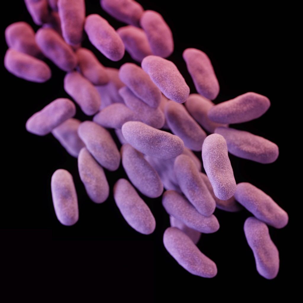 This illustration released by the Centers for Disease Control depicts a 3-D computer-generated image of a group of carbapenem-resistant Enterobacteriaceae bacteria. The artistic recreation was based upon scanning electron micrographic imagery. A potentially deadly "superbug" resistant to antibiotics infected seven patients, including two who died, and more than 100 others were exposed at a Southern California hospital through contaminated medical instruments, UCLA reported Wednesday. (Melissa Brower/AP)