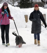 In this Sunday, March 1, 2015 photo, Malia Ebel, left, walks her dogs, Seymour, left, and Sanders, both Cavalier King Charles spaniel mixes, alongside Wendy Olcott and her golden retriever, Sunny, as each dog wears winter booties, in Concord, N.H. A harsh winter across the country has pet owners buying the boots to protect their pets' paws. (AP Photo/Jim Cole)
