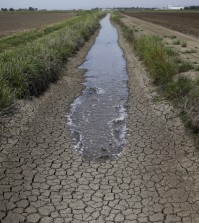 In this May 1, 2014 photo, irrigation water runs along the dried-up ditch between the rice farms to provide water for the rice fields in Richvale, Calif.  (AP Photo/Jae C. Hong)