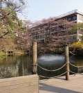 Seoul National University building (Courtesy of J. Marcelino via Flickr/Creative Commons)