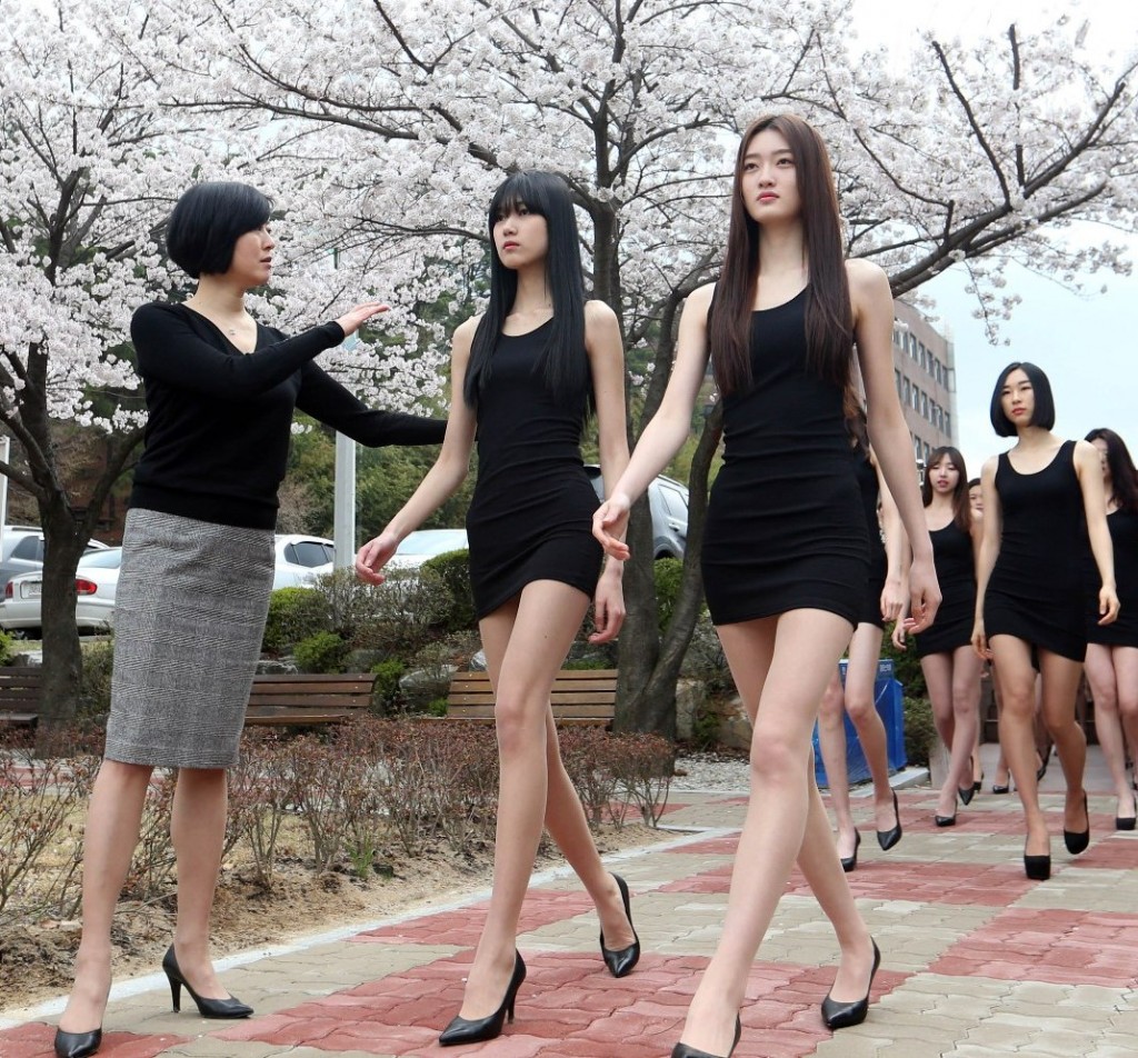 models, modeling majors, cherry blossom