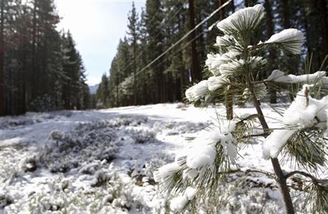Snow is shown on a tree and on the ground in South Lake Tahoe, Calif., Monday, April 6, 2015. In the wake of an incredibly warm March, an unusually cold spring storm is rolling in. The strong and wet storm that will linger in Northern California through mid-week will do little to help the fix the drought. (AP Photo/Tahoe Daily Tribune, Isaac Brambila)