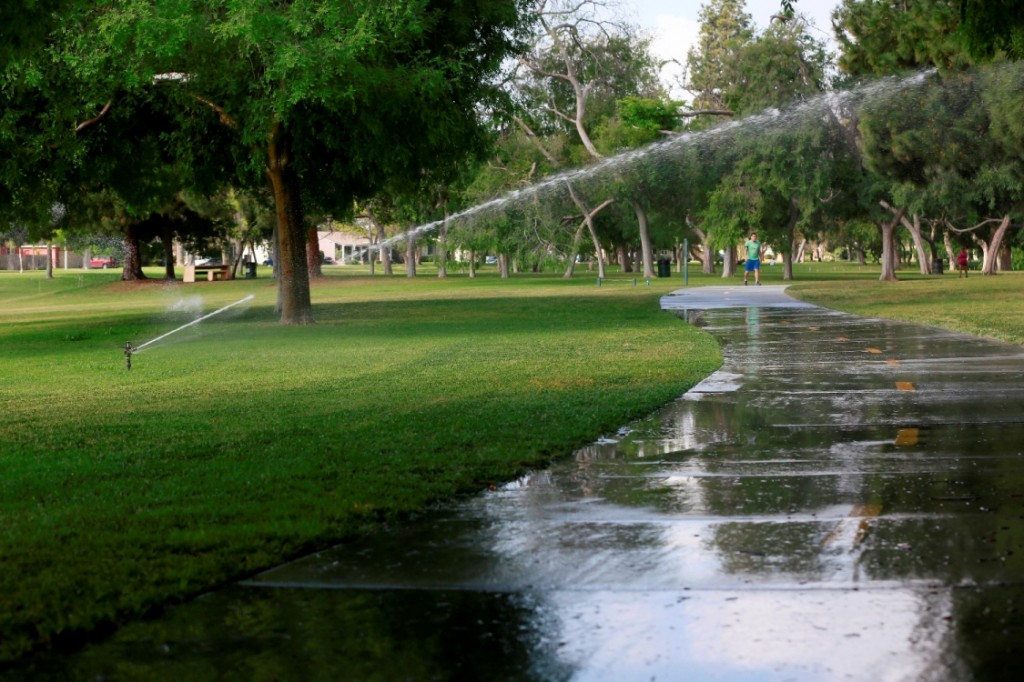 Water sprinklers are used at Heartwell Park in Long Beach, Calif., on Thursday, April 2, 2015. California Gov. Jerry Brown on Wednesday, ordered a 25 percent overall cutback in water use by cities and towns, but not farms, in the most sweeping drought measures ever undertaken by the nation's most populous state. (AP Photo/Nick Ut)