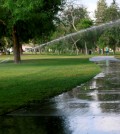Water sprinklers are used at Heartwell Park in Long Beach, Calif., on Thursday, April 2, 2015. California Gov. Jerry Brown on Wednesday, ordered a 25 percent overall cutback in water use by cities and towns, but not farms, in the most sweeping drought measures ever undertaken by the nation's most populous state. (AP Photo/Nick Ut)