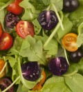 This image provided by The John Innes Centre, UK, shows a salad made with red and purple tomatoes. A small British company is planning to apply for U.S. permission to produce and sell purple tomatoes that have high levels of anthocyanins, compounds found in blueberries that some studies show lower the risk of cardiovascular disease and cancer. The Food and Drug Administration would have to approve any health claims used to sell the products. Cancer-fighting pink pineapples, heart-healthy purple tomatoes and less fatty vegetable oils may someday be on grocery shelves alongside more traditional products. (AP Photo/Andrew Davis, The John Innes Centre, UK)