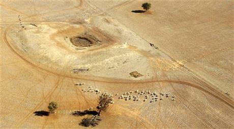 FILE - In this July 13, 2002, file photo, sheep wander parched land near a dry reservoir on a Condobolin property, 460 kilometers (285 miles) northwest of Sydney. On the world's driest inhabited continent, drought is a part of life, with the struggle to survive in a land short on water a constant thread in the country's history. The U.S. state of California is looking to Australia for advice on surviving its own drought. (AP Photo/Rick Rycroft, File)
