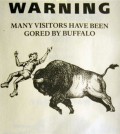 This photo taken on Wednesday, June 3, 2015 of a pamphlet distributed by the National Park Service to people entering Yellowstone National Park warns visitors not to get too close to bison, also known as buffalo, which can weigh up to 2,000 pounds and sprint three times faster than a person. Despite such warnings, bison have gored two Yellowstone tourists within the past three weeks. (AP Photo/Mead Gruver)
