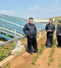 This undated photo released by North Korea's official Korean Central News Agency (KCNA) on June 21, 2013 shows North Korean leader Kim Jong-Un (L) visiting vegetable green houses on the Songhak Co-op Farm in Anju, South Pyongan.   (Courtesy of KCNA via Yonhap)