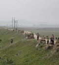 People work in corn fields, Wednesday, June 24, 2015 in South Hwanghae, North Korea. North Korea may be facing a poor harvest and possible food shortages due to unusually light rainfall in some parts of the country so far this year. (AP Photo/Wong Maye-E)