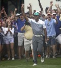 Tiger Woods reacts after holing out a chip shot on the 10th hole during the first round of the Wyndham Championship golf tournament in Greensboro, N.C., Thursday, Aug. 20, 2015. (AP Photo/Chuck Burton)