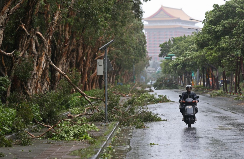 In this Aug. 8, 2015 photo, a scooter passes a line of trees brought down by strong winds from Typhoon Soudelor in Taipei, Taiwan. Soudelor brought heavy rains and strong winds to the island Saturday with winds speeds over 170 km per hour (100 mph) and gusts over 200 km per hour (120 mph) according to Taiwan's Central Weather Bureau. (AP Photo/Wally Santana)