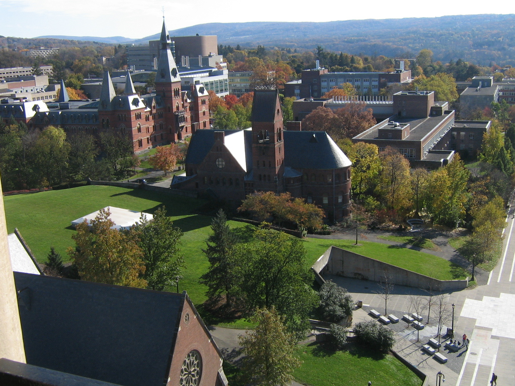 A view of Cornell University's campus from the top of McGraw Tower. (Courtesy of Julian Sorel via Flicker/Creative Commons)