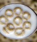 FILE - This June 15, 2011 file photo shows a spoonful of Honey Nut Cheerios in Pembroke, N.Y. General Mills on Monday, Oct. 5, 2015 said it is recalling 1.8 million boxes of Cheerios and Honey Nut Cheerios produced at a plant in Lodi, Calif., saying the cereal is labeled gluten-free but actually contains wheat. (AP Photo/David Duprey, File)