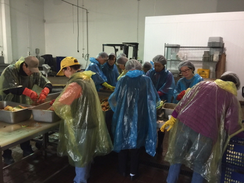 Korean American volunteers in Northern California bottled 500 jars of kimchi to distribute to local elderly Sunday.