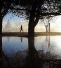A walker takes advantage of the clearing skies to stroll past rain puddles at Lake Balboa Park in Lake Balboa, Calif., Thursday, Jan. 7, 2016. The tail-end of a series of several El Nino-driven storms brought scattered showers and isolated thunderstorms to Southern California Thursday along with pounding surf and serious winds. (AP Photo/Michael Owen Baker)