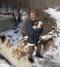 In this Wednesday, Jan. 27, 2016 photo, Jung Myoung Sook, 61, holds her puppies she rescued at a shelter in Asan, South Korea. In the country, where dogs are considered a traditional delicacy and have only recently become popular as pets, Jung’s love for her canine friends is viewed by some as odd. But others see her as a champion of animal rights. (AP Photo/Lee Jin-man)