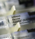 FILE - This Thursday, Nov. 12, 2015 file photo shows single dosage syringes of the Fluarix quadrivalent influenza virus vaccine in New York. According to numbers presented at a medical meeting in Atlanta on Wednesday, Feb. 24, 2016, the flu vaccine is doing a better job in 2016. (AP Photo/Patrick Sison)