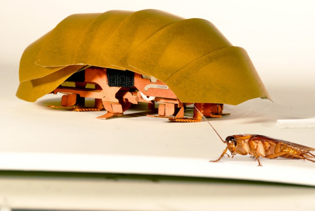 This photo provided by PolyPEDAL Lab UC Berkeley, shows the compressible robot, CRAM with a real cockroach. When buildings collapse in future disasters, the hero helping rescue trapped people may be a cheap robotic roach. Repulsive as they seem, cockroaches have the unusual ability to squish their bodies down to one quarter their normal size, yet still scamper at lightning speed. Add to that, the common roach can withstand 900 times its own body weight without being hurt. That’s the equivalent to a 200-pound man who wouldn’t be crushed 90 tons on his head. (PolyPEDAL Lab UC Berkeley/Tom Libby, Kaushik Jayaram and Pauline Jennings via AP)