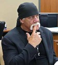 Hulk Hogan (AP / Newsis)