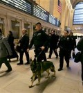 FILE - In this March 22, 2016 file photo, Metro-North Railroad police officers with a police dog patrol Grand Central Terminal, in New York. The best line of defense against a Brussels-style attack in the nation's largest subway system may be man's best friend. The NYPD this week graduated eight new dogs specifically for its elite counterterrorism unit. (AP Photo/Richard Drew)