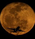 Drunk Pilots