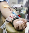 This undated file photo shows a person donating blood.