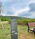 This undated photo provided by Melon, a domestic music streaming service, shows the BTS Forest created in Nanji Han River Park in western Seoul. (PHOTO NOT FOR SALE) (Yonhap)