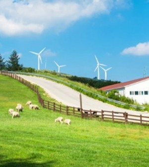 Special Ways to Enjoy Korea ! The Korea Times